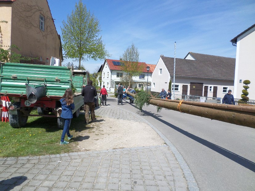 Maibaum_2016 (76)